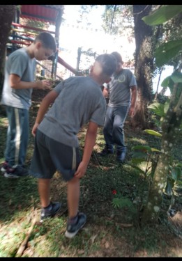 PERIGO  DE  DENGUE.