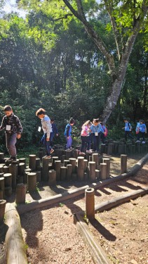 visita ao Bosque Reinhard Maack