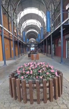 Curitiba 333 anos de história